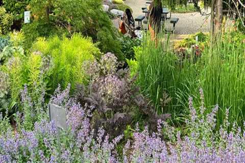 The Green Spaces and Communities of Kent County, Michigan