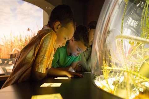Discovering the Fascinating History and Diverse Communities of Kent County, Michigan