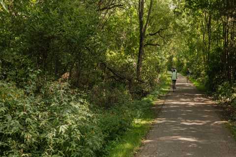 The Vital Role of Transportation in Kent County, Michigan