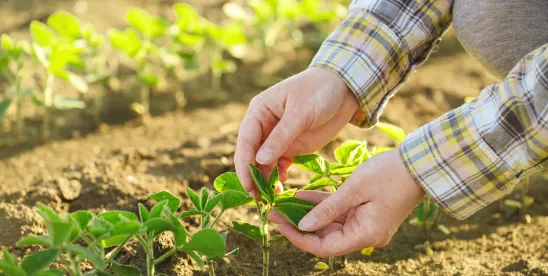 USDA Launches National Farm Security Action Plan
