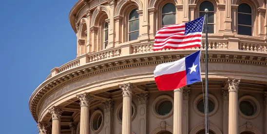 Texas Business Organizations Code: Key Amendments Under SB 29