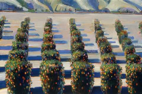 The Impact of Northern California's Landscape on Artists