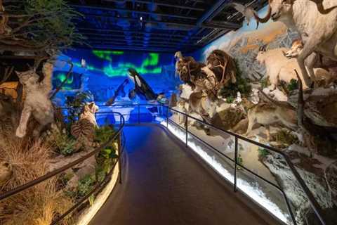The Vibrant Art Scene of Northern California's Museums