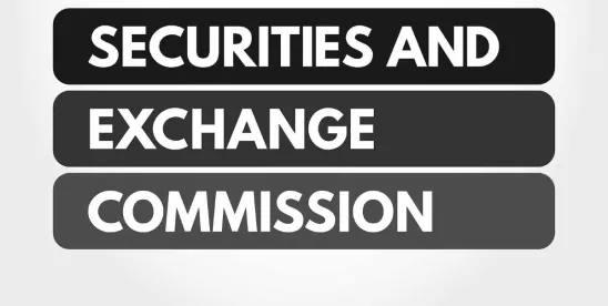 SEC Roundtable on Executive Compensation Disclosure