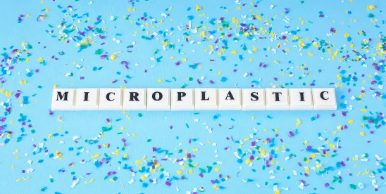 Microplastics Under the Microscope: Federal and California Proposals Target Microplastics