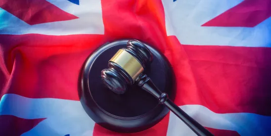 Wise Up: UK Court Invalidates Broad Software Terms in Landmark Decision Post-SkyKick