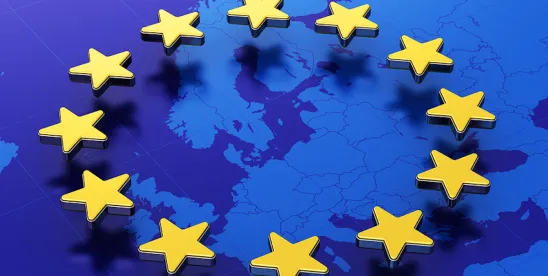 EC Scientific Committee Issues Final Opinion on Hydroxyapatite (Nano) in Oral Products
