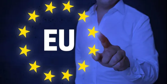 Fishing Expedition or Legitimate Dawn Raid? The Latest on European Commission’s Cartel Enforcement..