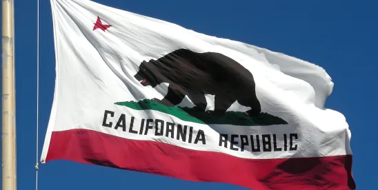 California DIR Reminds Employers of State Law Nuances Impacting Federal Immigration Enforcement..