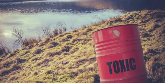 EPA Releases Draft TSCA Risk Evaluations for Phthalates BBP and DIBP for Public Comment