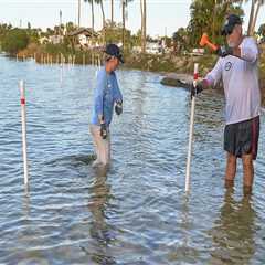 The Ultimate Guide to Volunteering in Vero Beach, FL