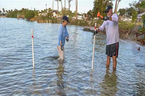 The Ultimate Guide to Volunteering in Vero Beach, FL
