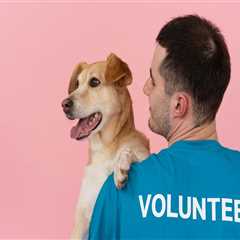 The Power of Sponsoring Fundraising Events in Las Vegas, Nevada
