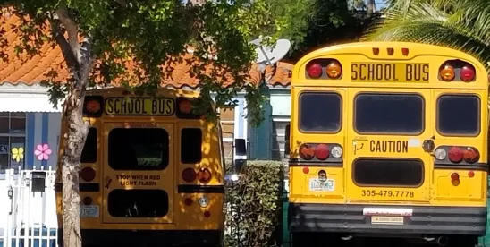 A Driver’s Guide to School Bus Safety