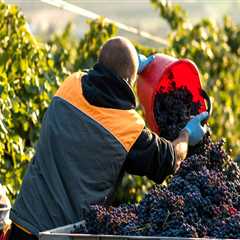 The Impact of Cooperatives and Associations on the Growth of the Wine Industry in Central California