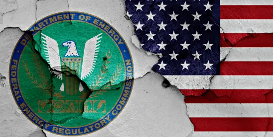 FERC Affirms Texas LNG Export Project on Remand and Rejects Attempts to Enlarge Diminished Scope of ..