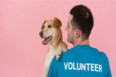 The Power of Fundraising Events in Las Vegas, Nevada