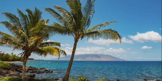 Hawai’i Supreme Court Applies Pollution Exclusion in CGL Case Involving Climate Change