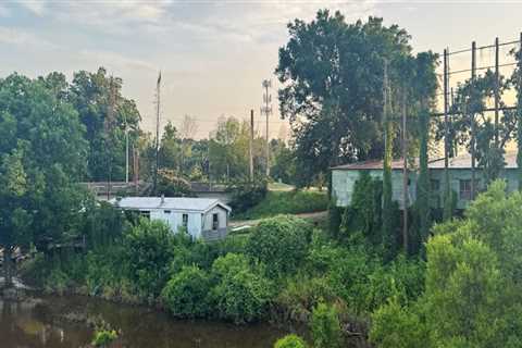 The Rising Cost of Healthcare in Northwest Louisiana: Expert Insights