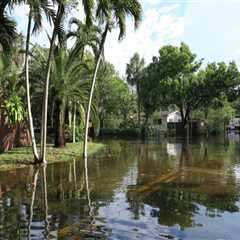 Insurance Companies in Central Florida: Coverage for Flood Damage