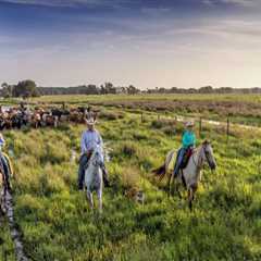 The Power of Collaboration: Building Strong Partnerships in Northwest Florida