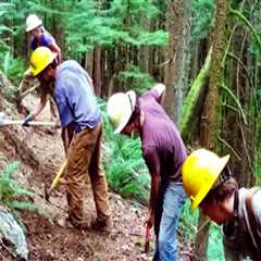The Power of Volunteering in Southeastern Washington