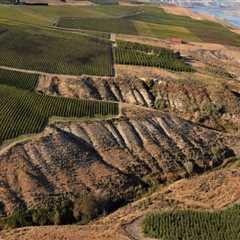 The Laws and Regulations of Labeling for Vineyards in Western Washington