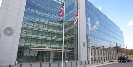 Issuer-Investor Arbitration Provisions Are Now a Greater Option for Public Companies