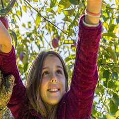 Food Assistance Programs in Southern New Hampshire: A Comprehensive Guide
