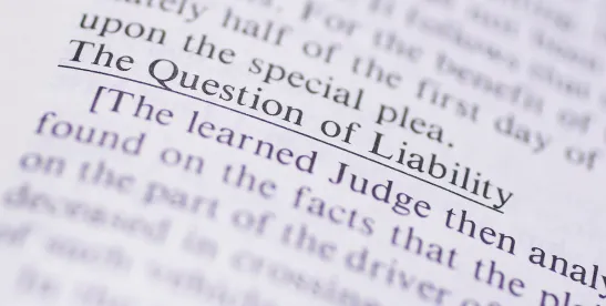Lessons From Appellate Practice- Inclusive Decision-making May Increase Litigation Risks