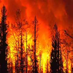 The Challenges of Fighting Wildfires in Central California