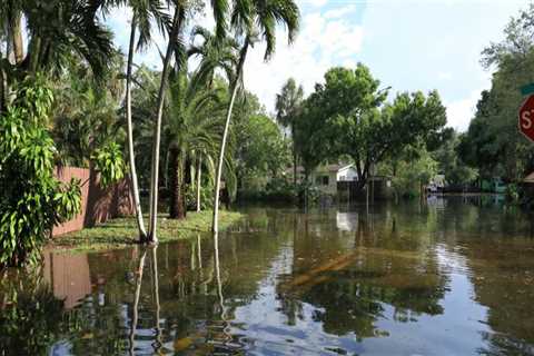 Insurance Companies in Central Florida: Coverage for Flood Damage