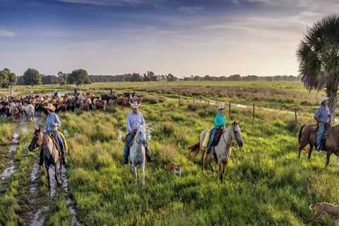 The Power of Collaboration: Building Strong Partnerships in Northwest Florida