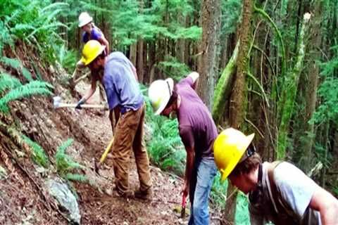 The Power of Volunteering in Southeastern Washington