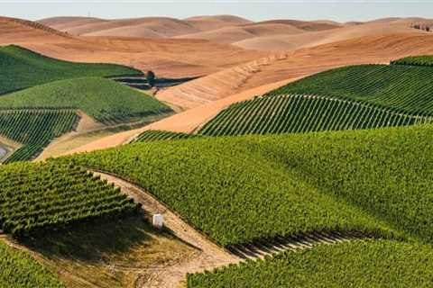 The Sustainable Evolution of the Wine Industry in Southwest Washington