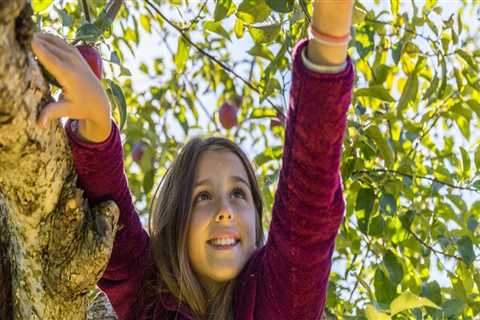 Food Assistance Programs in Southern New Hampshire: A Comprehensive Guide