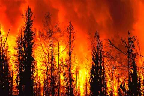 The Challenges of Fighting Wildfires in Central California