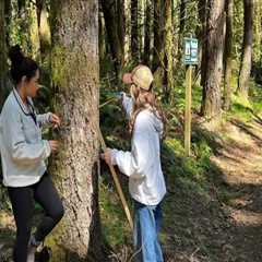 The Impact of Environmental Groups in Multnomah County, Oregon