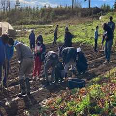 5 Ways to Support Environmental Groups in Multnomah County, Oregon