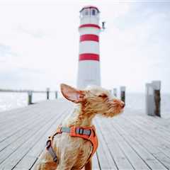 Friday Footnotes: Bye Bye Overtime For KPMG Juniors; Ex-Deloitte Employee Sues After Her Senior..