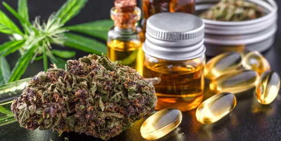 Alabama Takes Step Closer to Issuing Medical Cannabis Dispensary License, Allowing Patients to..
