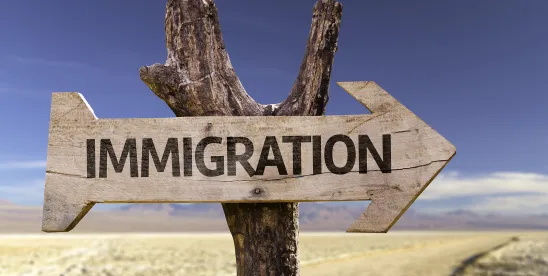 Big Law Redefined- Immigration Insights Episode 21 | Global Mobility in Motion- Trends, Strategies, ..