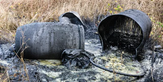 The Release Report #5: Immediate Actions [Video]