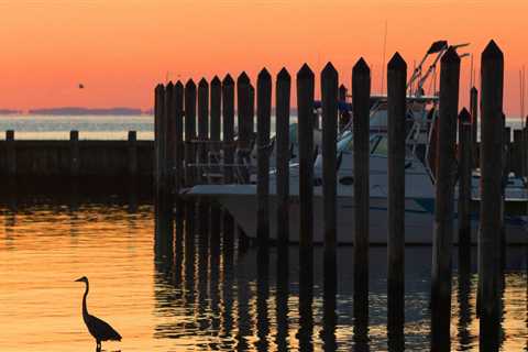 The Power of Collaboration: How Coalitions in Calvert County, Maryland are Making a Difference