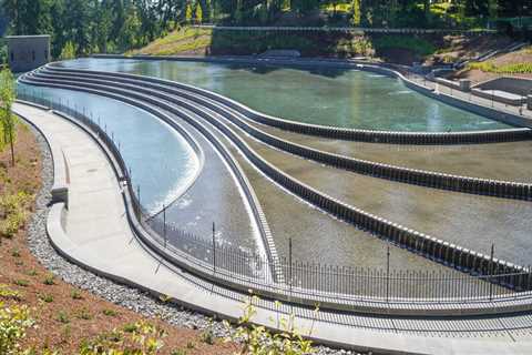 The Vibrant Community of Washington County, Oregon