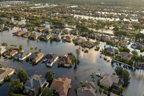 The Importance of Disaster Relief Charities in Northern Virginia