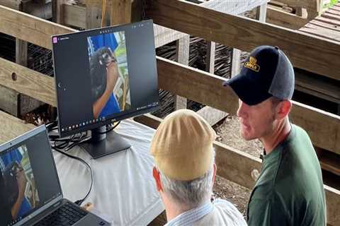 The Power of Partnerships: Nonprofits and Businesses in Sangamon County, Illinois