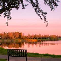 The Changing Landscape of Charitable Campaigns in Blaine, Minnesota