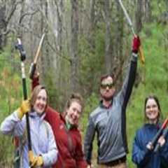 The Power of Volunteers in Nonprofit Organizations in Central Virginia