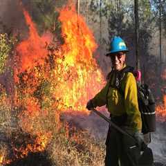 Managing Wildfires for Habitat Conservation in Southwest Florida